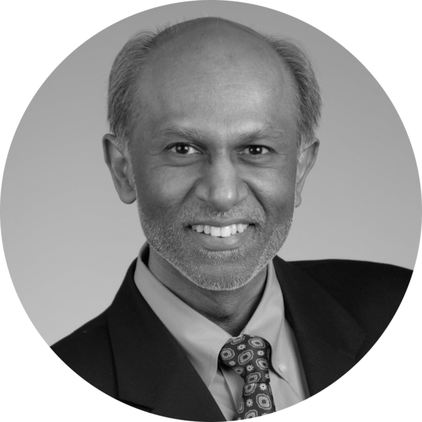 Prof. Avindra Nath